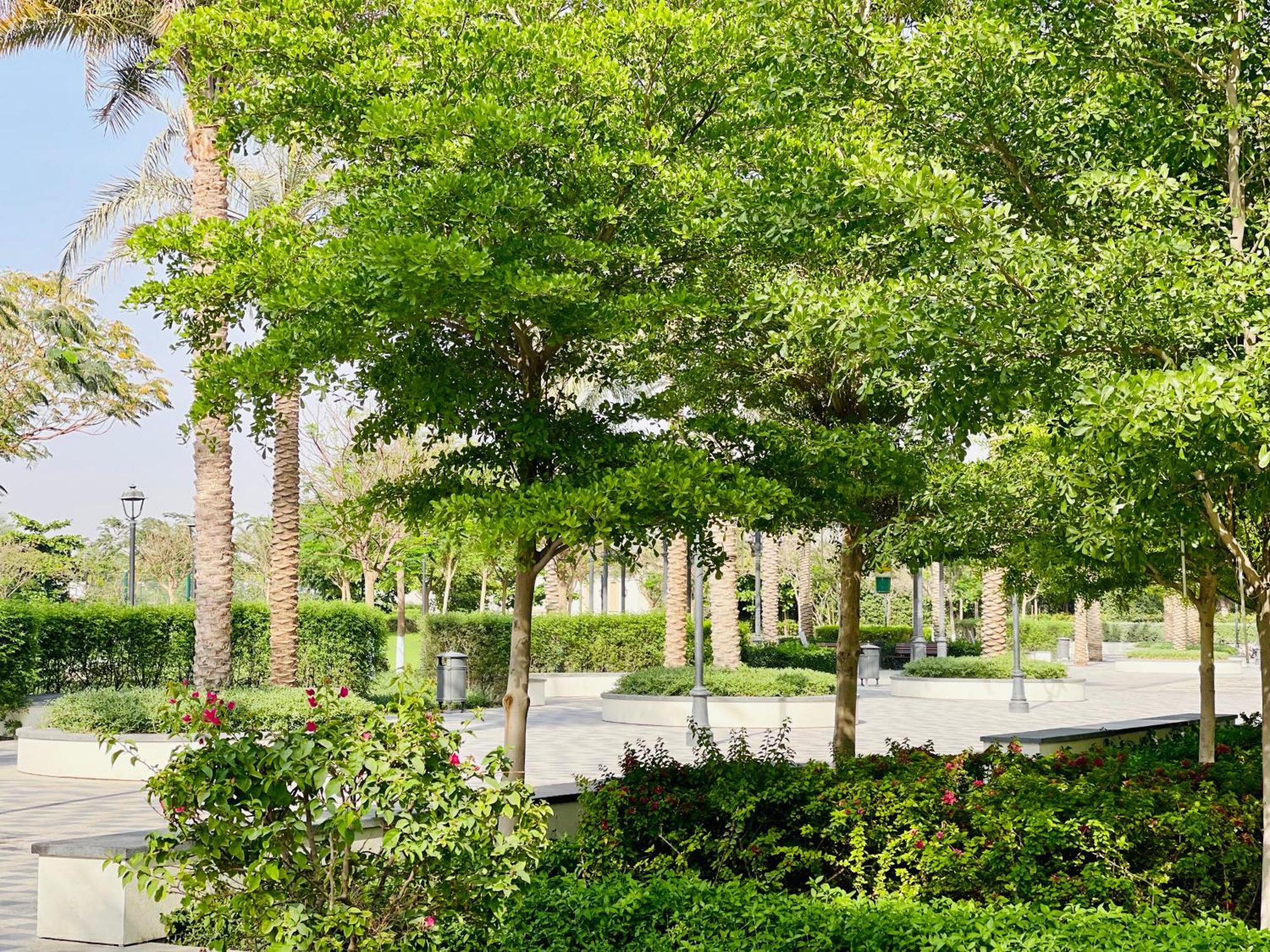 Goodwood Suites Homes Vacation Dubai Exteriör bild